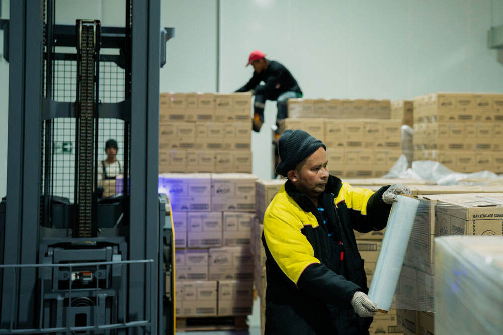 Cadena de frío sin pérdidas: cómo reducir merma y reclamos