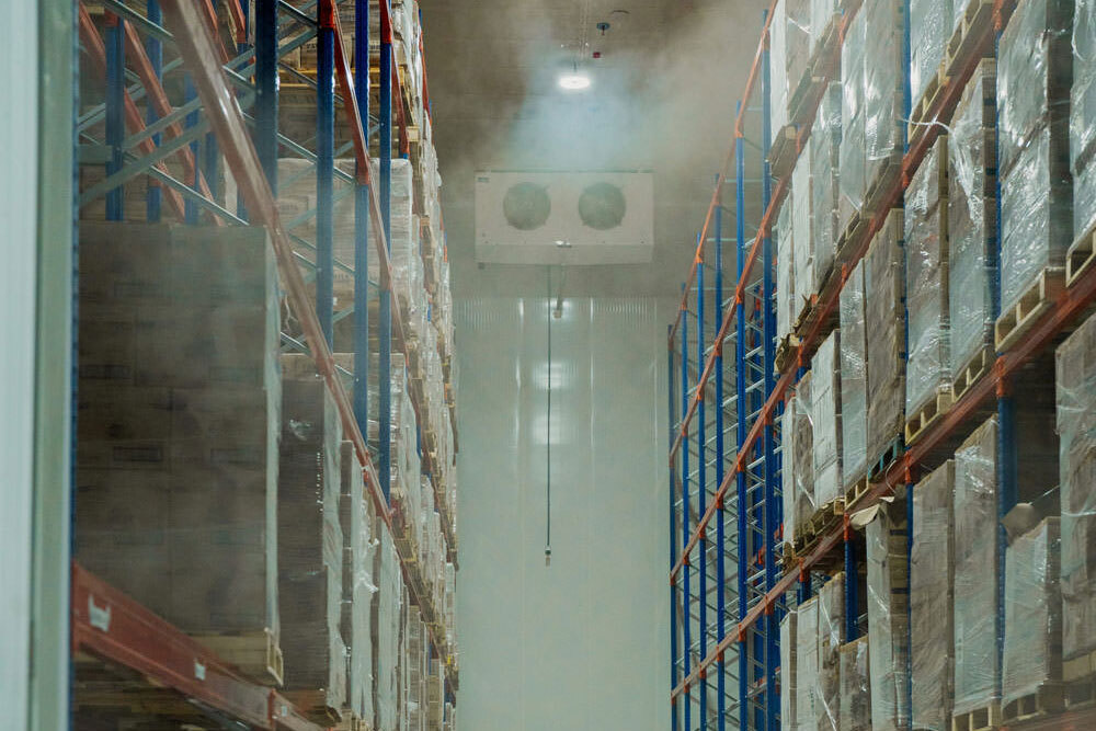 Refrigerado vs congelado vs dual: cómo elegir la mejor opción